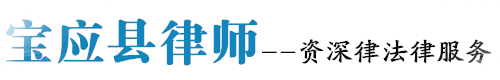 宝应县律师网站logo